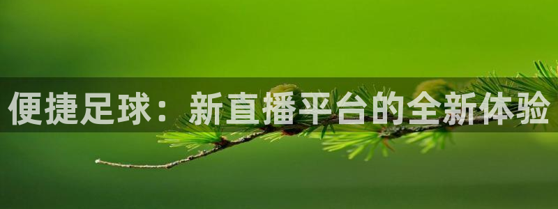 便捷足球：新直播平台的全新体验