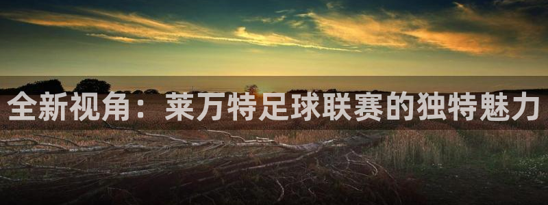  全新视角：莱万特足球联赛的独特魅力