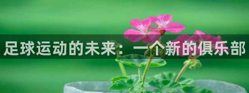  足球运动的未来：一个新的俱乐部