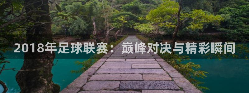 2018年足球联赛：巅峰对决与精彩瞬间
