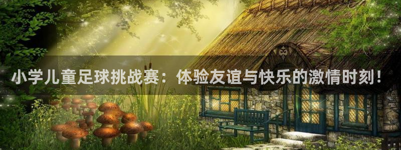  小学儿童足球挑战赛：体验友谊与快乐的激情时刻！