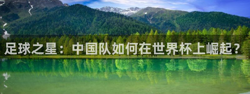  足球之星：中国队如何在世界杯上崛起？