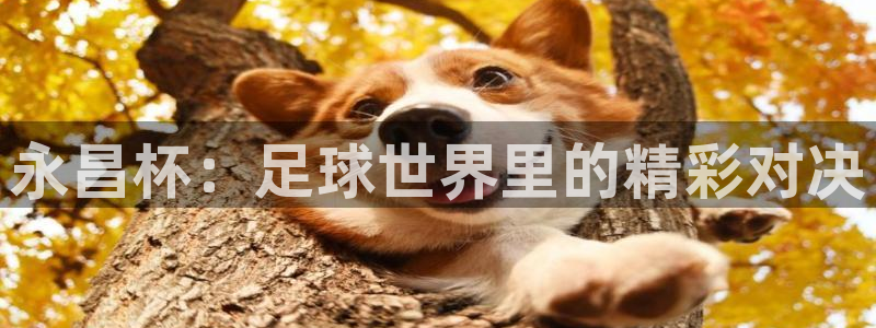 永昌杯：足球世界里的精彩对决