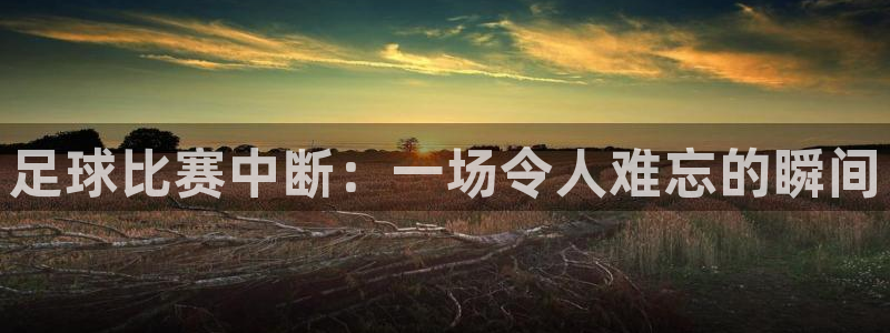 足球比赛中断：一场令人难忘的瞬间