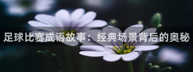 足球比赛成语故事：经典场景背后的奥秘