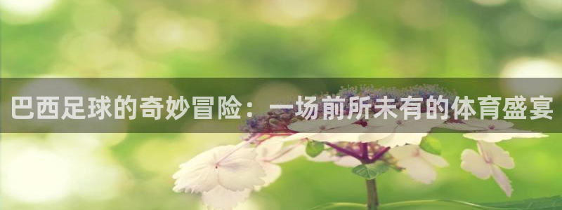 巴西足球的奇妙冒险：一场前所未有的体