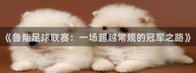 《鲁能足球联赛：一场超越常规的冠军之