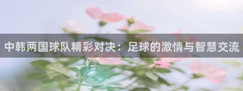 中韩两国球队精彩对决：足球的激情与智