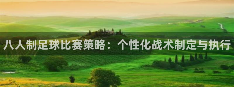八人制足球比赛策略：个性化战术制定与