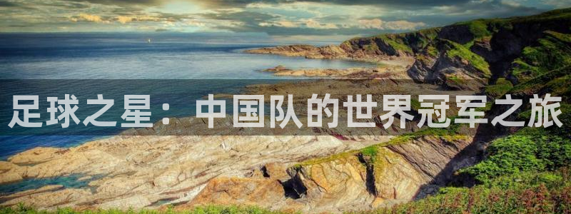 足球之星：中国队的世界冠军之旅