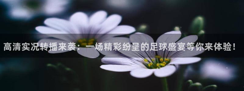 高清实况转播来袭：一场精彩纷呈的足球