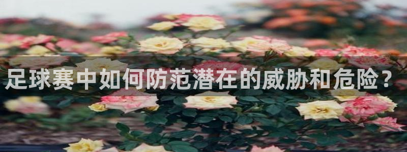  足球赛中如何防范潜在的威胁和危险？