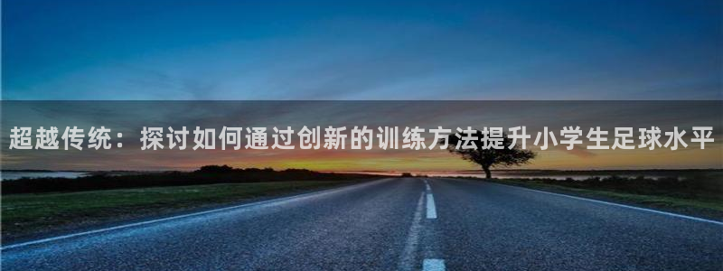 超越传统：探讨如何通过创新的训练方法提升小学生足球水平