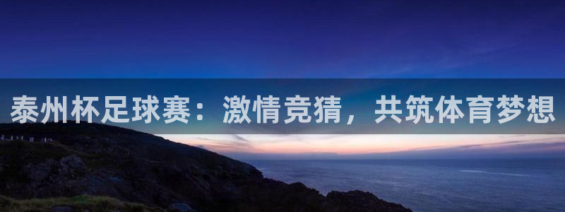 泰州杯足球赛：激情竞猜，共筑体育梦想