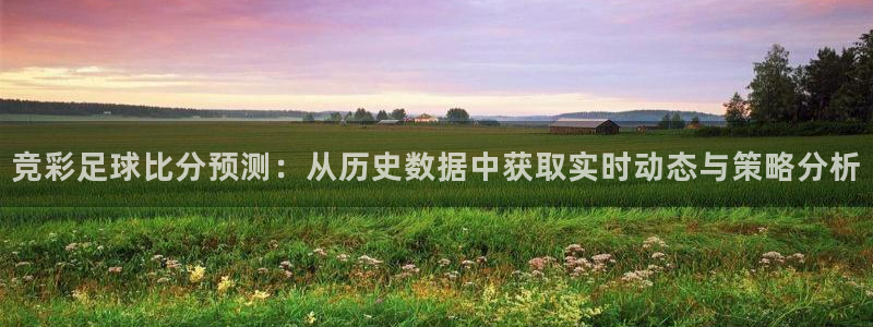 竞彩足球比分预测：从历史数据中获取实