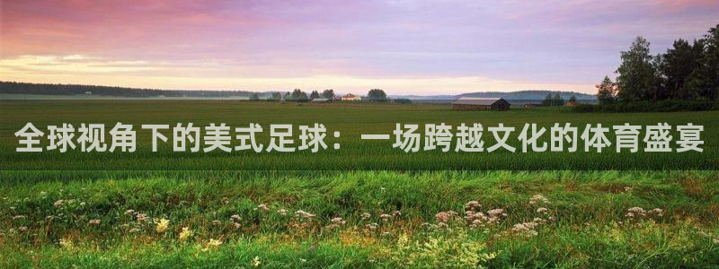 全球视角下的美式足球：一场跨越文化的