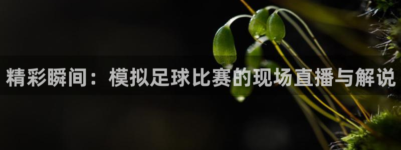  精彩瞬间：模拟足球比赛的现场直播与解说