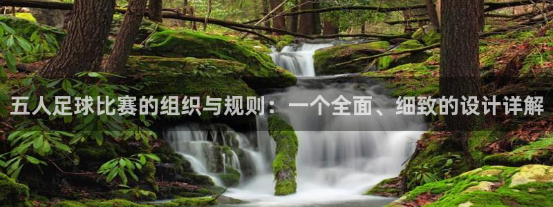 五人足球比赛的组织与规则：一个全面、细致的设计详解