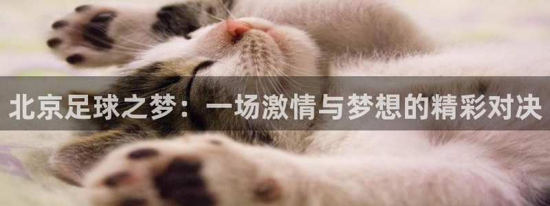  北京足球之梦：一场激情与梦想的精彩对决
