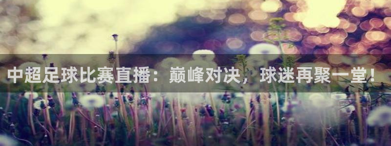  中超足球比赛直播：巅峰对决，球迷再聚一堂！