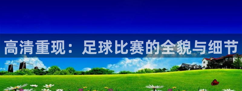  高清重现：足球比赛的全貌与细节