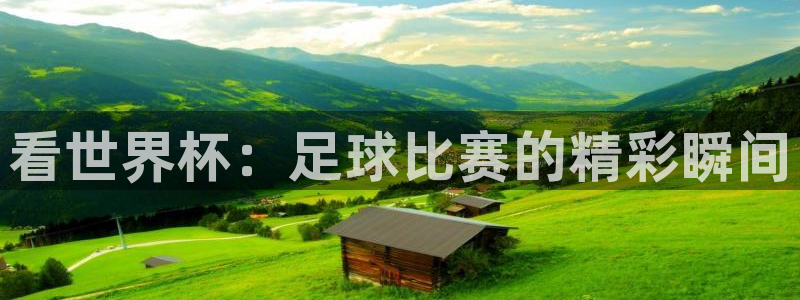  看世界杯：足球比赛的精彩瞬间