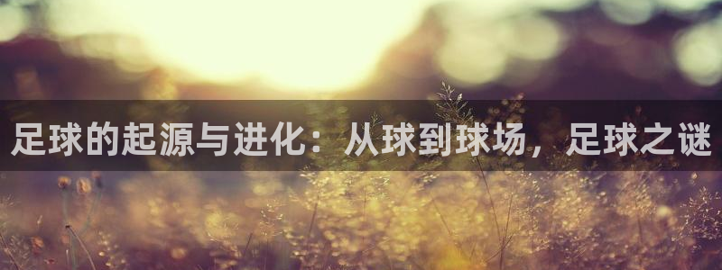 米兰体育平台