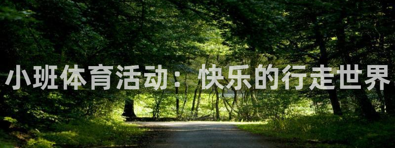 米兰体育场