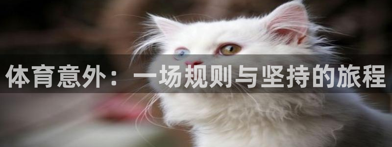 米兰体育app