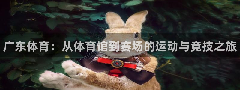 米兰体育下载