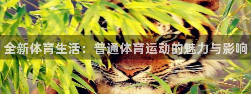 米兰体育在线