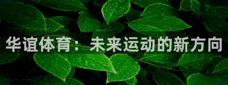 米兰体育网址